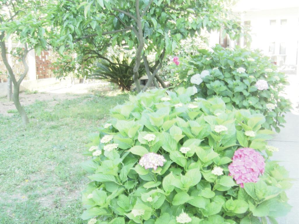 Center 2 *